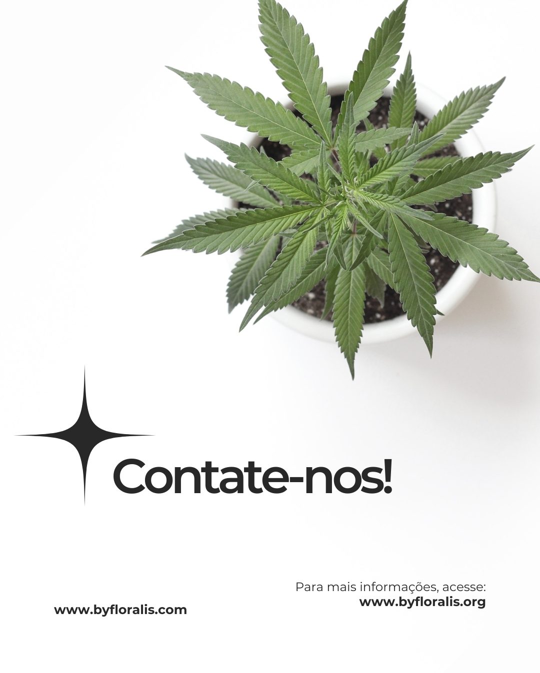 contato